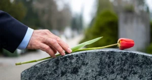 person placing rose on gravestone