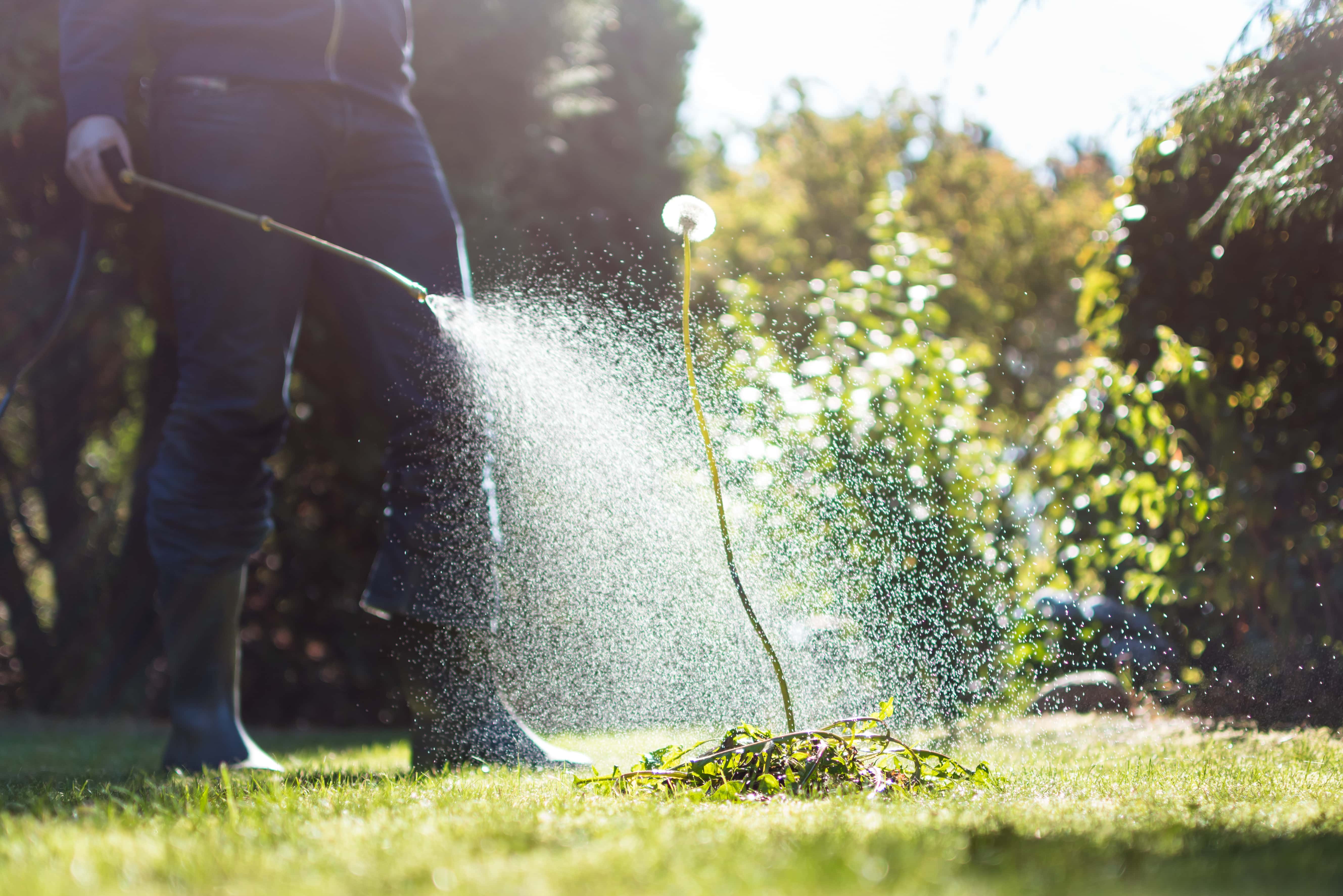 Monsanto Roundup Lawsuit